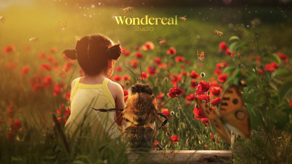 wondereal (11)