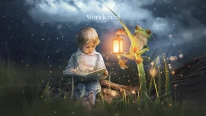 wondereal (16)