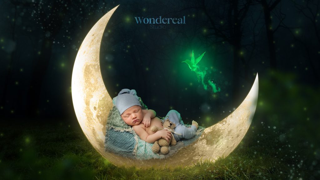wondereal (2)