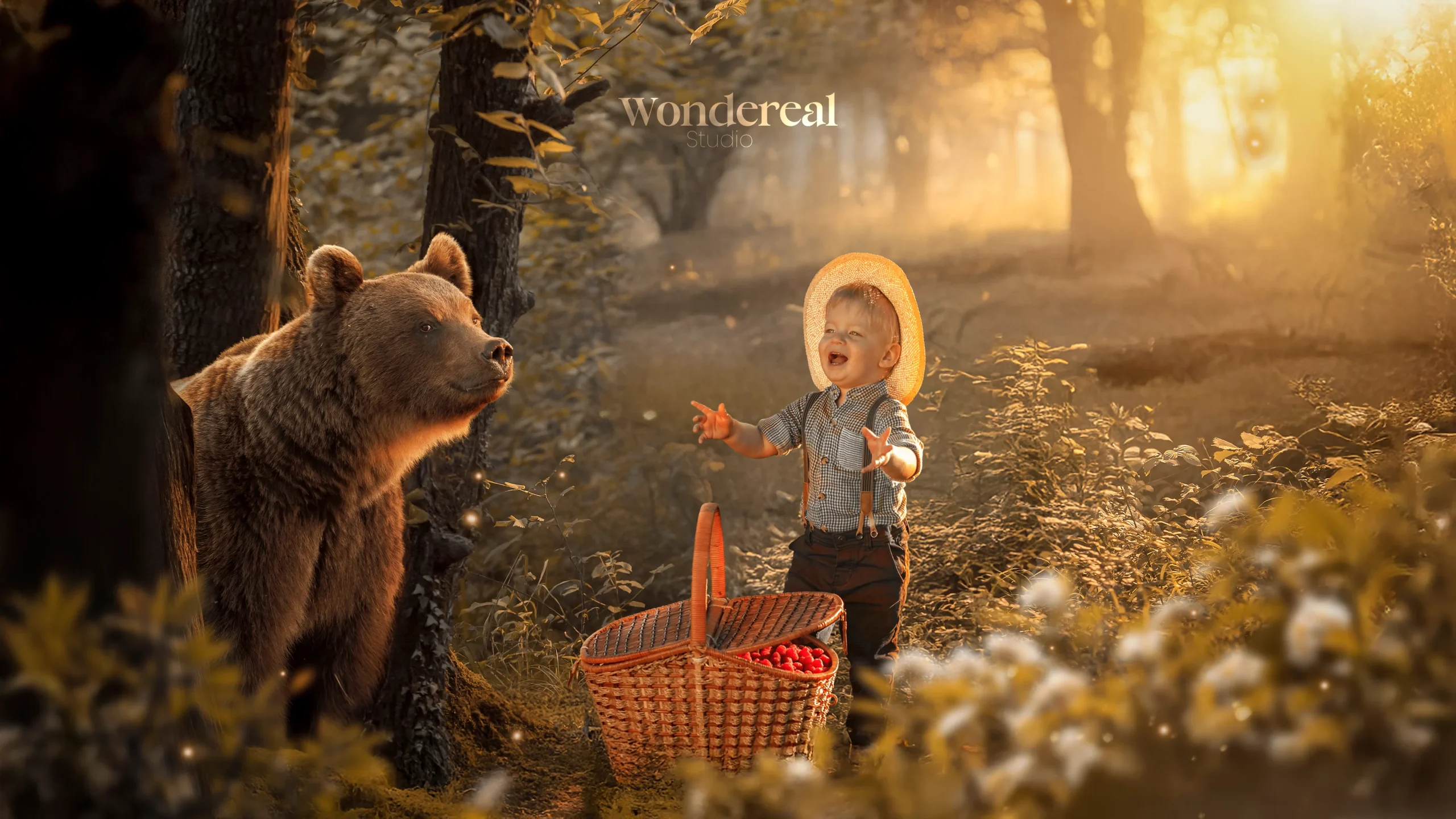 wondereal (24)