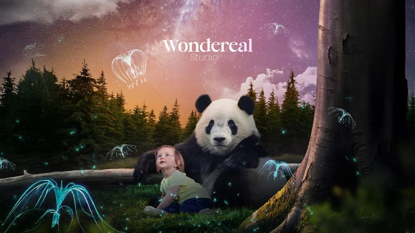 wondereal (7)