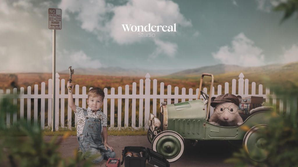 wondereal (8)
